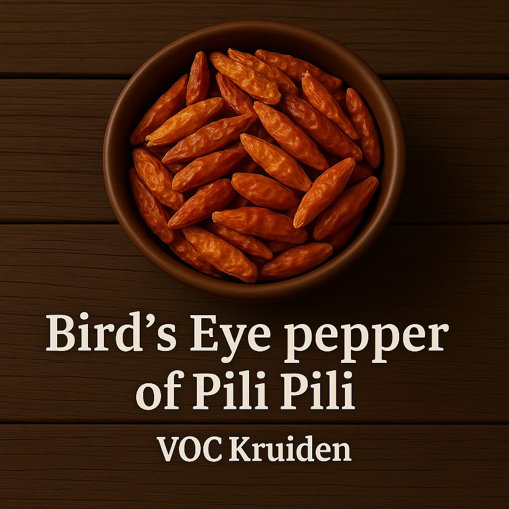 Peper : Birdseye of Pili Pili Rawat 